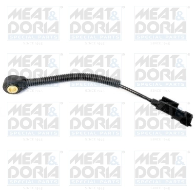 Knock Sensor
